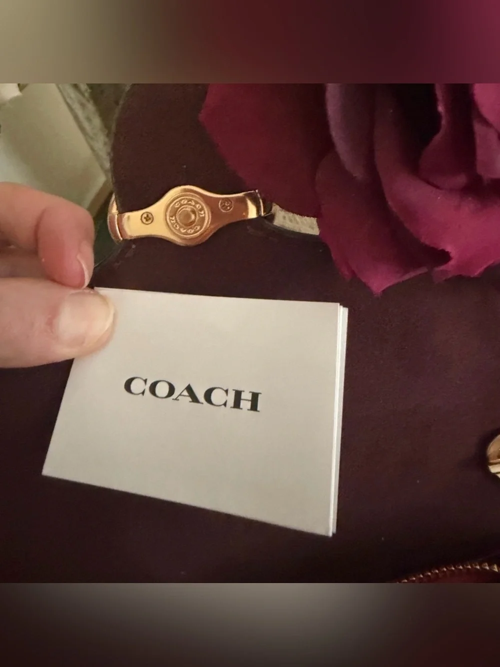 Beautiful & Unique Coach Chain Bag ✨
